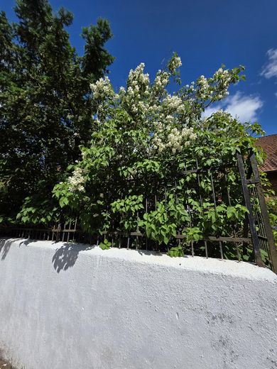 Zuhause zum Wohlfühlen – Foto 16