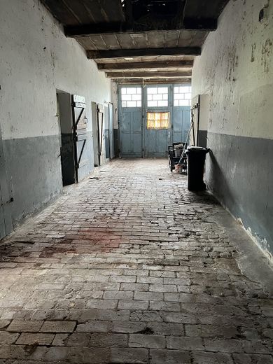 Casa unifamiliare / ex azienda agricola con grande terreno in posizione tranquilla – Foto 14