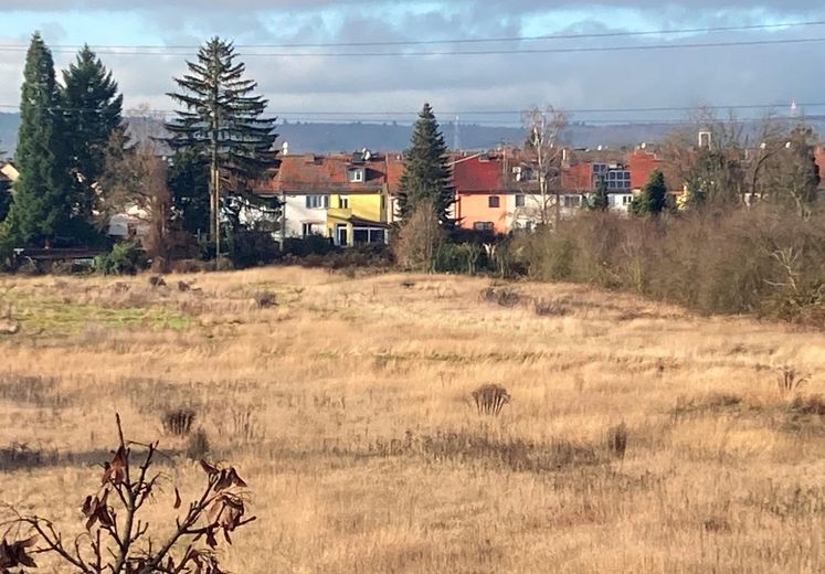 Blick von der S-Bahn zum AW