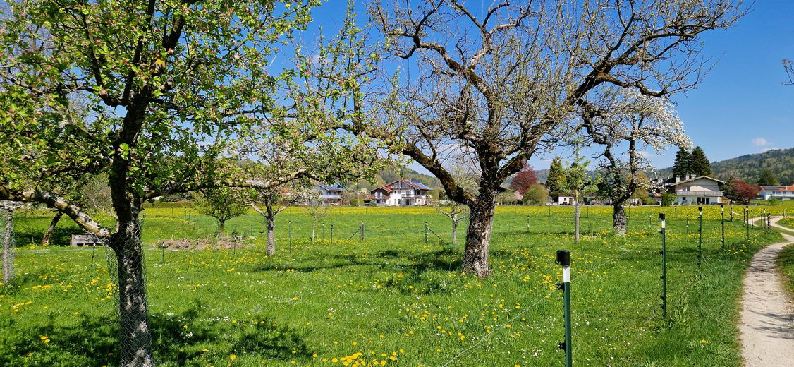 Umgebung