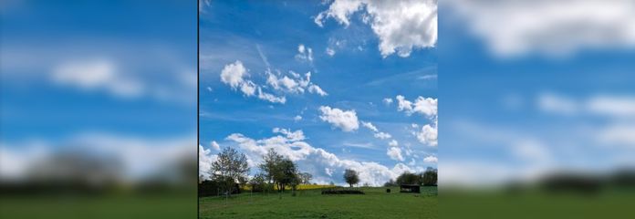 69146ab613057.jpg