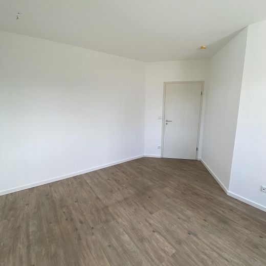 großzügige Wohnung zentral gelegen – Foto 7