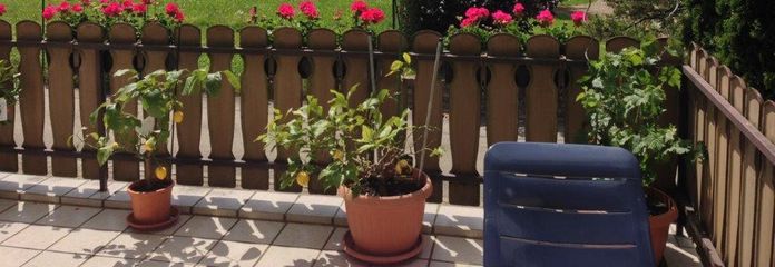 Terrasse im EG