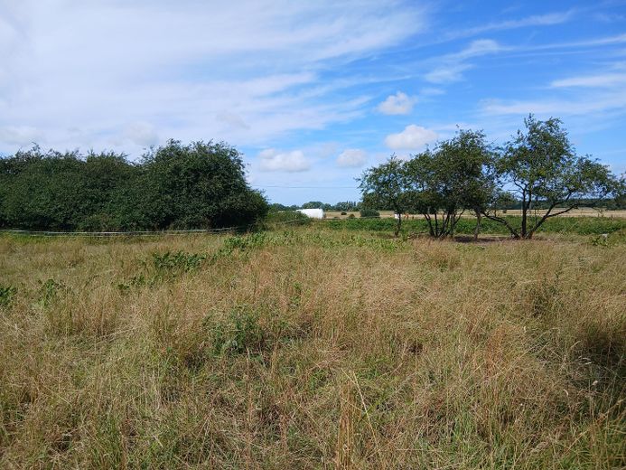 Baugrundstück auf der Insel Rügen – Foto 7