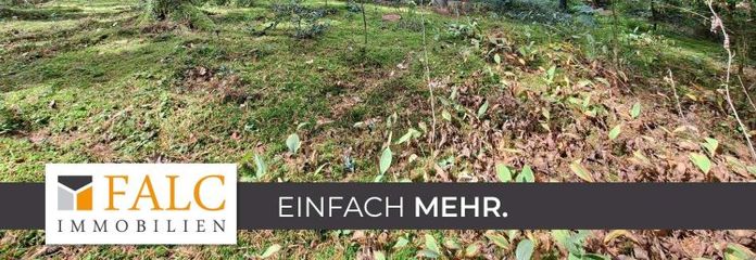 Gepflegtes Wochenendhaus / Ferienhaus in idyllischer Waldlage