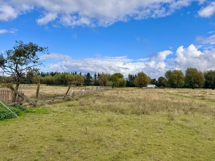 HORN IMMOBILIEN mit Video 5,6 ha bei Löcknitz, als Wildtierfarm, zur Pferdehaltung oder für Alpakas – Foto 1