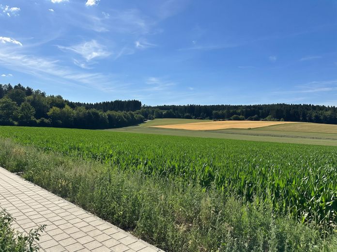 Wprowadź się i poczuj się jak u siebie: nowy skrajny segment z tarasem, ogrodem, wiatą garażową i miejscem parkingowym w VS – Blick auf Feld