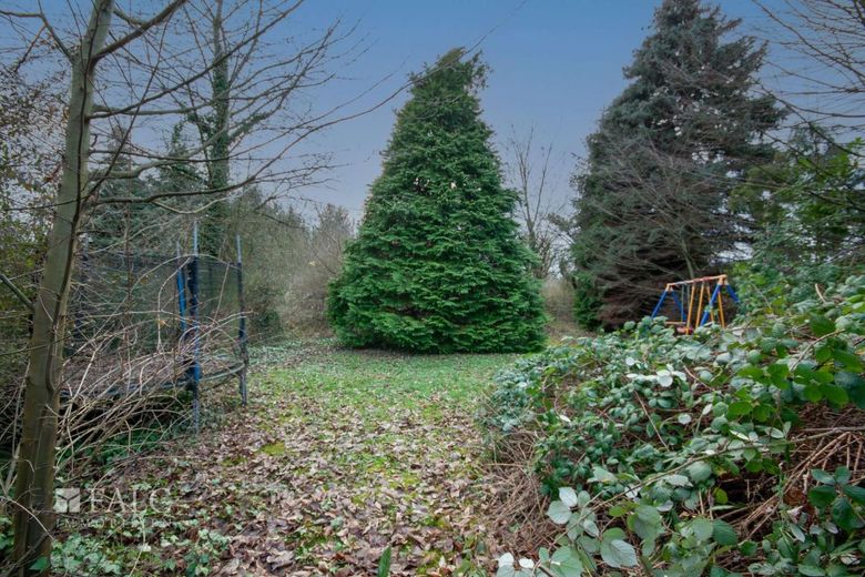 Riesengrundstück - Riesenpotential ! – Garten
