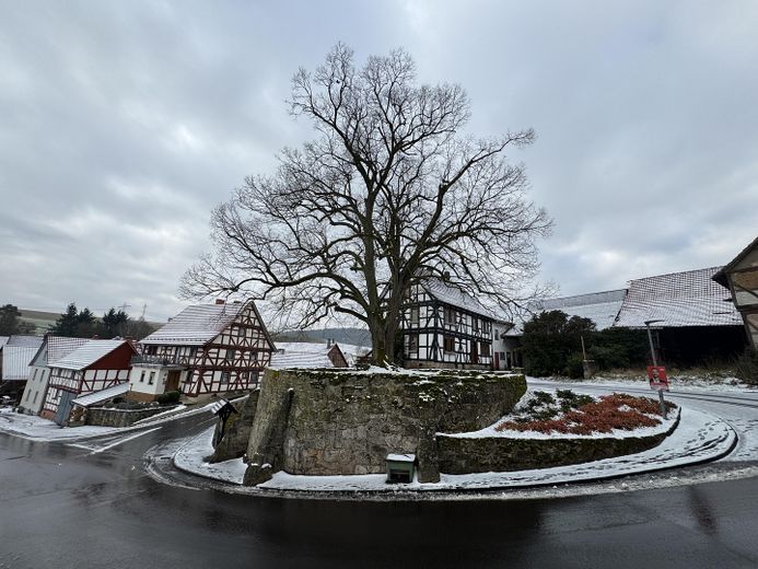 Großzügiges Mehrfamilienhaus mit Sauna in Nentershausen-Süß – Aussicht
