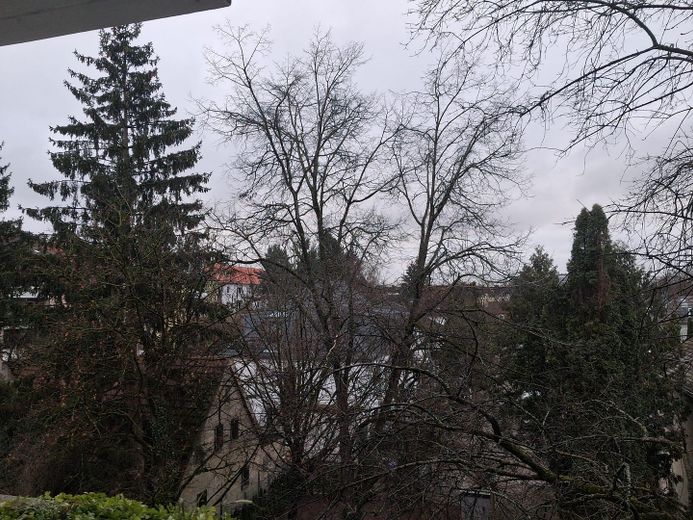 Blick vom Balkon