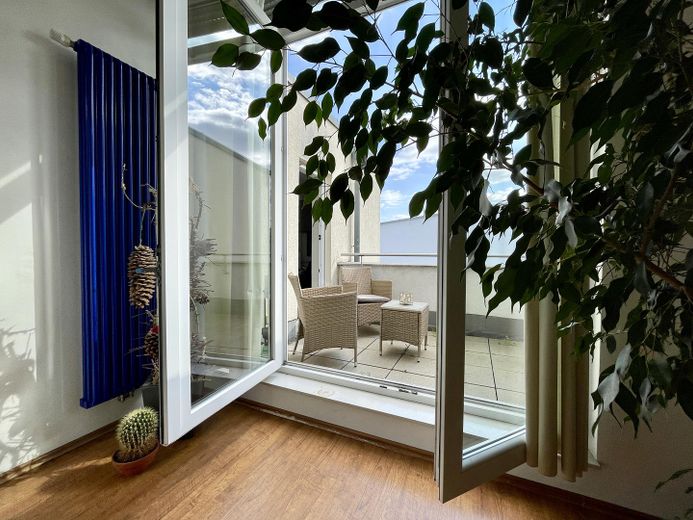 Zugang zur Dachterrasse DG