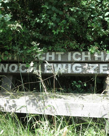 eines der letzten, erhaltenen SCHEUNENGUTSHÄUSER (mit 4-6 ha. Naturgrundstück) – Foto 22