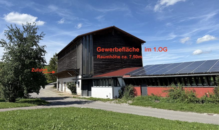 Halle als Lager, Produktionsfläche oder Einbau Padel Court – Foto 2
