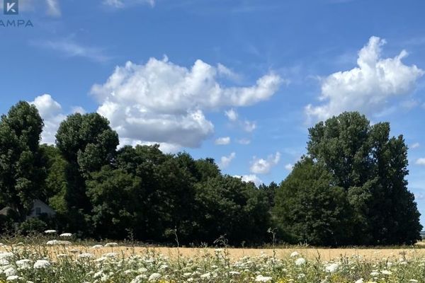 Attraktive Baugrundstücke in begehrter Lage in Frechen