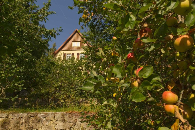 Şehirde kırsal ev ama yine de yemyeşilin ortasında – Impressionen Garten