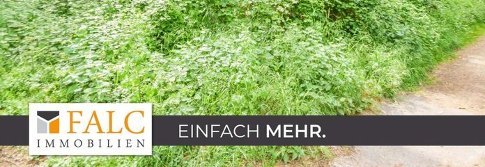 Eingewachsener Waldbereich
