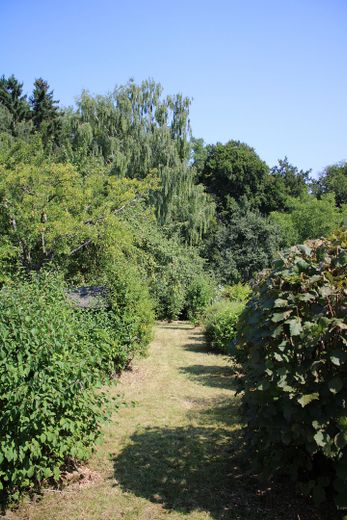 Nordsicht vom Nord-Balkon 