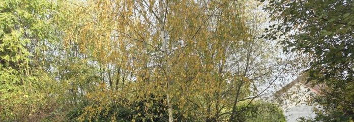 !!!!!!RESERVIERT!!!!!
Nalbach-Bilsdorf: Großes Baugrundstück mit Baugenehmigung für Einfamilienhaus