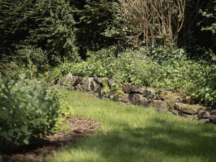 gepflegter Garten
