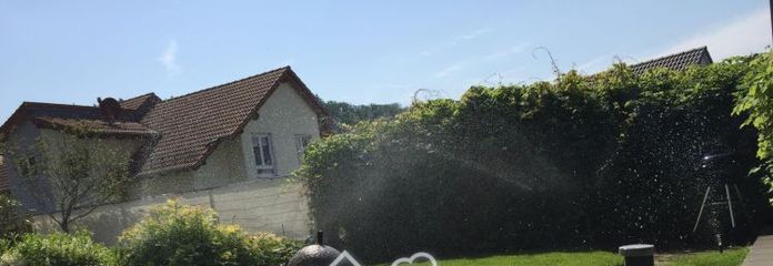 Nußloch, Singlewohnung, Alter Berg, Hanglage, 2 ZKB, große Terrasse