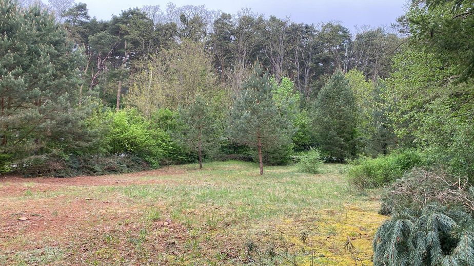 1.254 m² Baugrundstück nahe Stechlinsee – teilbar , ruhige Lage (provisionsfrei) – Foto 12