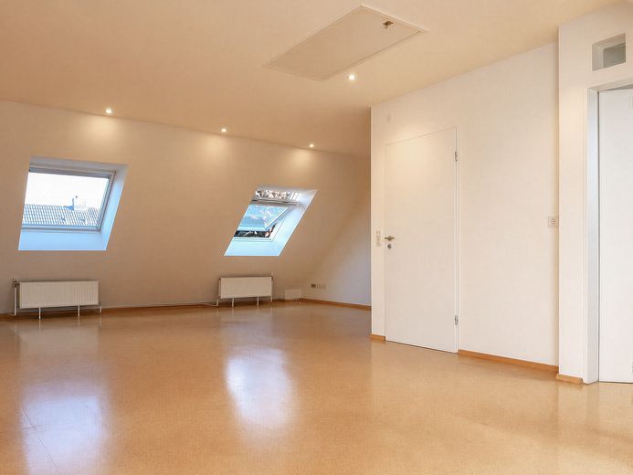 Maison calme pour familles ou vie multigénérationnelle sur quatre étages – Loft (DG)