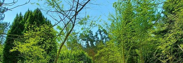 ВАШ НОВИЙ ПРОЄКТ В ІДИЛІЧНОМУ МІСЦІ