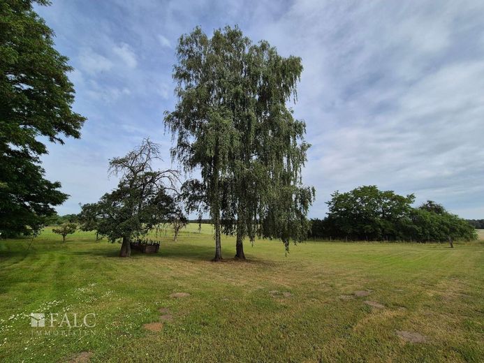 Großzügiges Anwesen mit historischem Wohnhaus und viel Potenzial - FALC Immobilien – Garten hinten