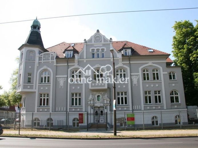 Großzügige 2 Raum-Wohnung in denkmalgeschützter Villa – Foto 1