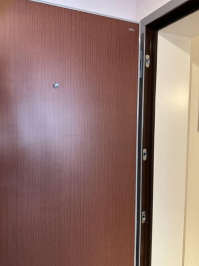 Emplacement privilégié au calme ! Appartement-terrasse de 4 pièces à FR-Neuburg – Eingangstüre einbruchsicher