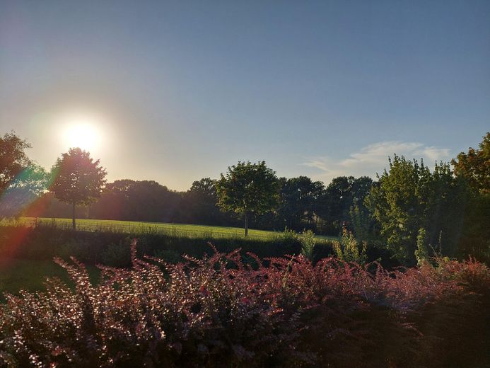 Blick aus dem Garten Nordseite