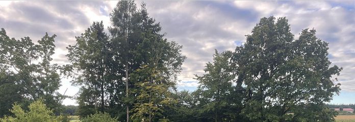 Baugrund Sommer