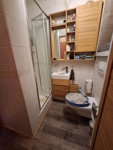 Gäste WC mit Dusche EG