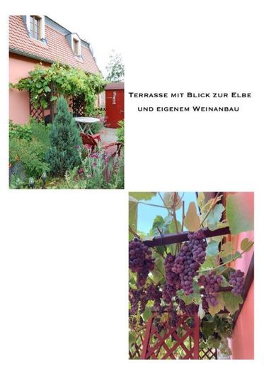 Straordinario appartamento di proprietà con vista sull’Elba nel panorama dei vigneti a Meißen – Terrasse 2 mit Elbblick