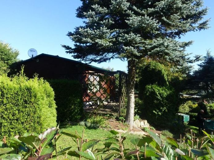 Gepflegter Freizeitbungalow in ruhiger Waldlage – Foto 1