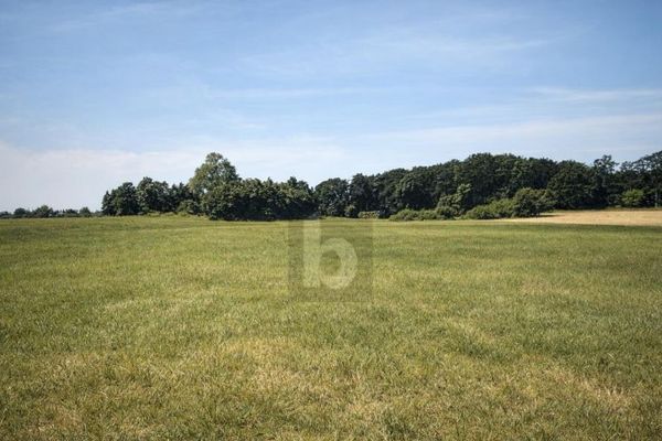 ŁĄKA TRWAŁA - INWESTYCJA KAPITAŁOWA Z POTENCJAŁEM PV