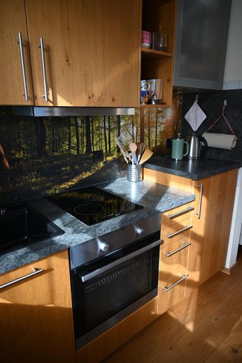 Apartamento de 1 habitación entre Altenburg y la catedral de Bamberg (disponible para entrar a vivir) – Einbauküche