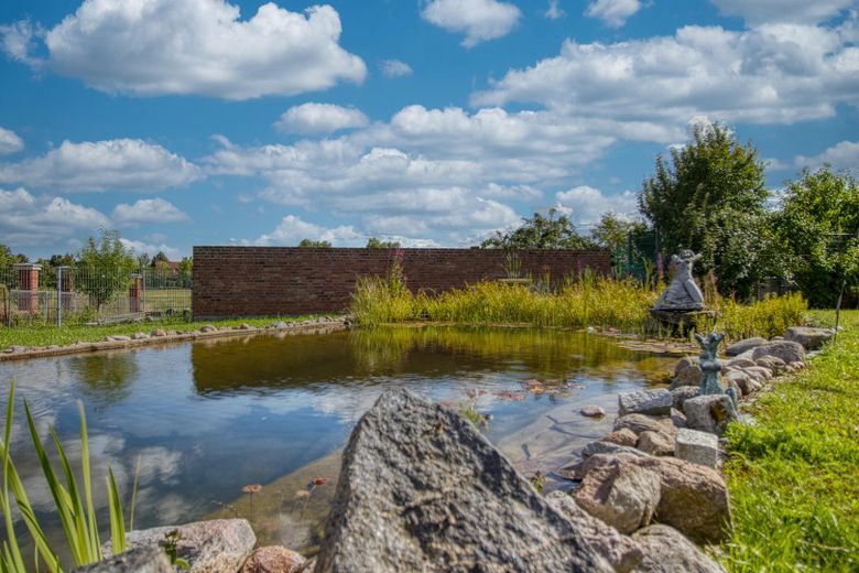 Klein Helle: Historisches Gutshaus mit parkähnlichem Grundstück in idyllischer Feldrandlage – Foto 6
