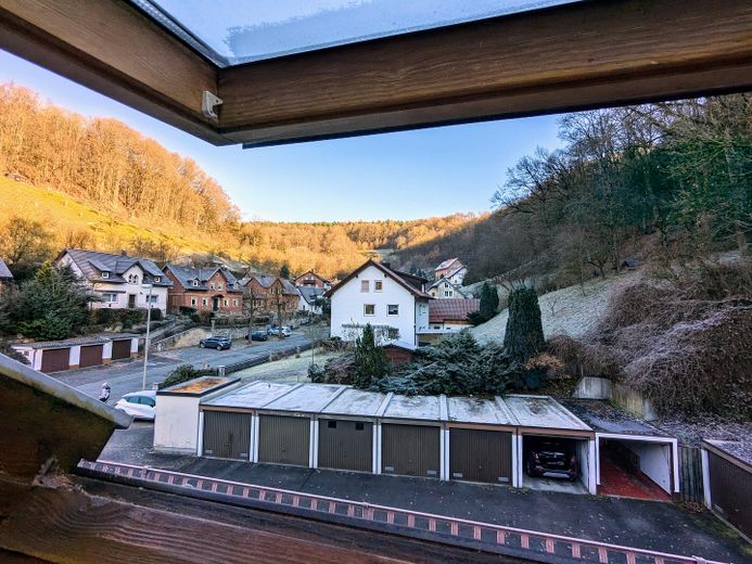 Blick Dachfenster 1