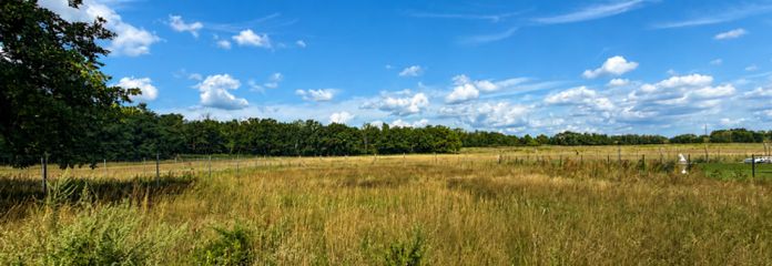 Feldrand-, Wald- und Ortsrandlage: Großes Einfamilienhausgrundstück in Teltow, B-Plan vorhanden...