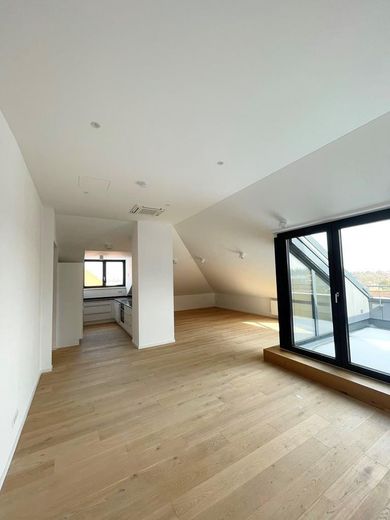 Traumhaft schöne Penthousewohnung  mit Dachterrasse – Wohn-/Essraum, Küche