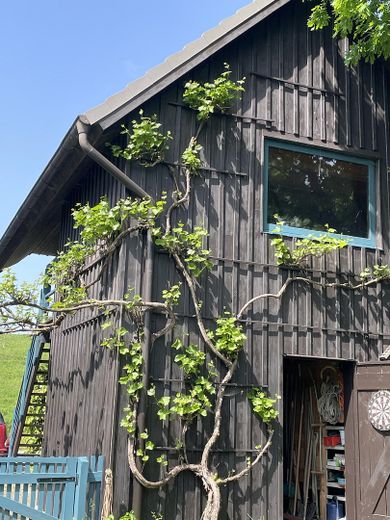 Ökologisch gebautes Holzhaus u. Nebengebäude – Nebengebäude