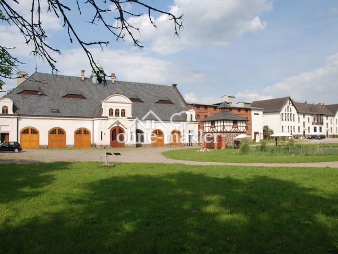 Atelier/Praxis/Gastro/Touristik/Büro/LOFT +++ in GUTSANLAGE (12 Geb. + 6 ha. Gr.) Nähe Müritz! – Foto 1