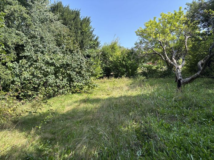 > 450 qm Grünfläche