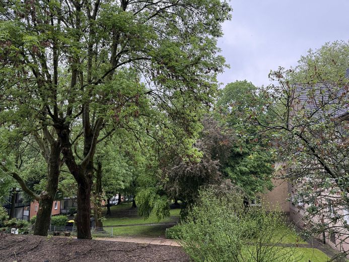 renovierte Wohnung mit Balkon und Blick ins Grüne – Blick vom Balkon