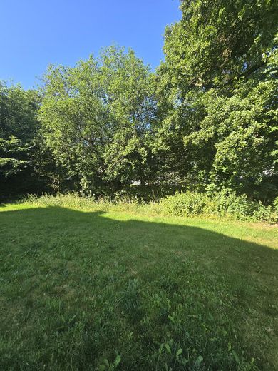 Historisches Fachwerkhaus mit drei Eigentumswohnungen – Garten/Rasenfläche