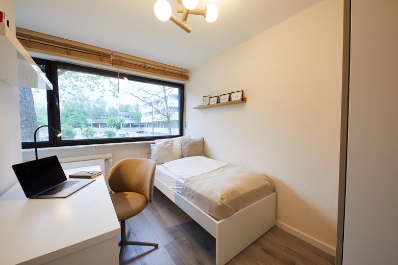 Mehrere hochwertige WG-Zimmer in frisch sanierter Wohnung - Erstbezug – viel Tageslicht (Z4)