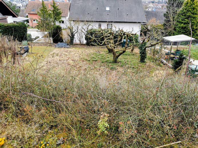 Blick nach Süden Herbst