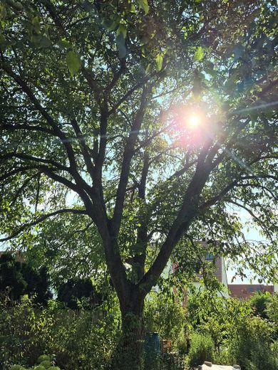 Kleinod in Weisenheim am Sand – Foto 17