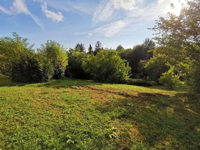 1 Zimmer Wohnung - Renoviert und liebevoll eingerichtet – Garten